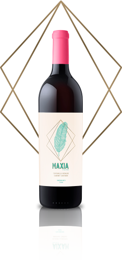 maxia_ensamble