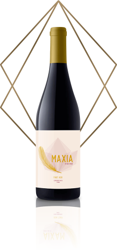 maxia_pinot